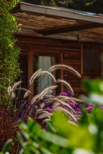 a house with some plants in front of it at XUMA Bungalows in Bodrum City