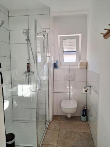 a bathroom with a toilet and a glass shower at Privates Zimmer mit Bad in Efringen-Kirchen
