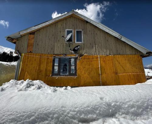 a building with birds on the window of it in snow at Forest Block Cottages in Gulmarg