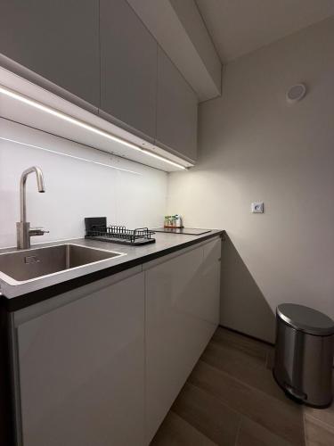 une cuisine avec un évier et un plan de travail dans l'établissement Joli 2P Mummery centre-ville de Chamonix, à Chamonix-Mont-Blanc