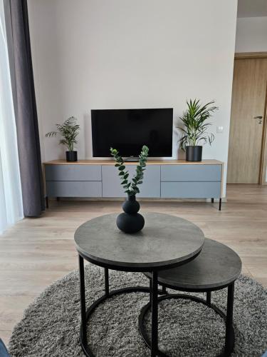 a living room with a table and a tv at Vilniaus apartamentai in Vilnius