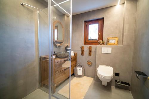 a bathroom with a shower and a toilet and a sink at Ferienhaus Meis Chalet in Scuol