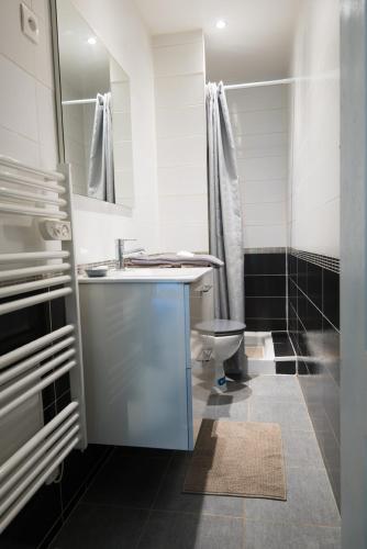 a bathroom with a sink and a toilet in it at Charmant F2 de Vémars- Parc Astérix - Mer de Sable - Villepinte - Aéroport CDG in Vémars
