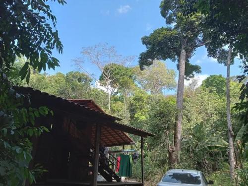 Billede fra billedgalleriet på Chácara Quântica chalé ecológico na floresta i Santarém