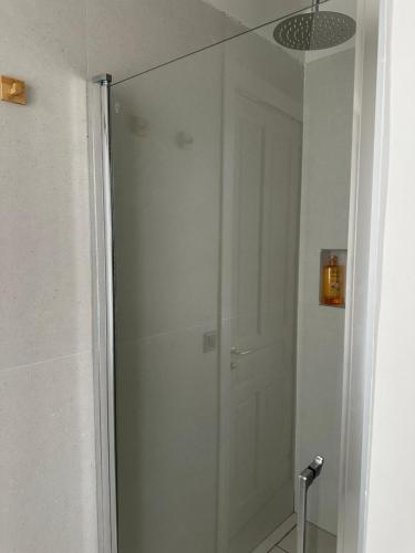 a shower with a glass door in a bathroom at Apartamentos Concepcion in Albacete