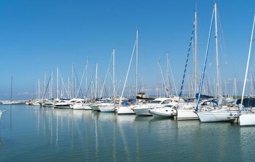 a bunch of boats docked in a harbor at Lovely Apartment In Puntone Di Scarlino in Puntone di Scarlino
