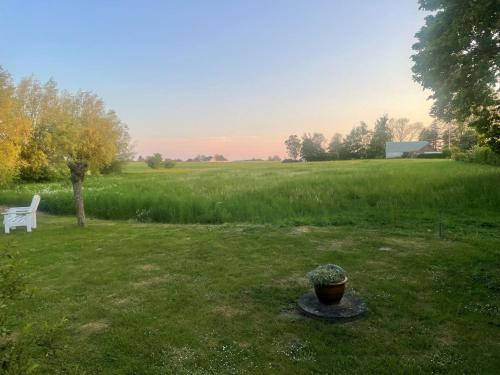 a field with a bench and a potted plant in the grass at Gästhus i lummig trädgård in Löderup