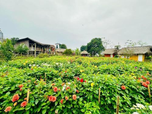 a field of flowers with houses in the background at Lương Sơn Homestay in Bản Gùm