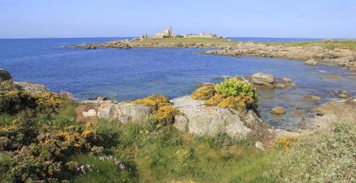 une grande étendue d'eau avec des rochers et des fleurs dans l'établissement appartement vilvic, à Trégunc