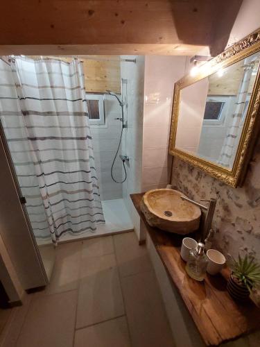 une salle de bain avec une douche, un lavabo et un miroir dans l'établissement Le Loft, à Bruniquel