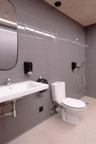 a bathroom with a toilet and a sink and a mirror at Lamia BBK Women Hostel-Solo mujeres in Bilbao