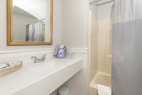 a bathroom with a sink and a mirror and a shower at Brandywine River Hotel in Chadds Ford
