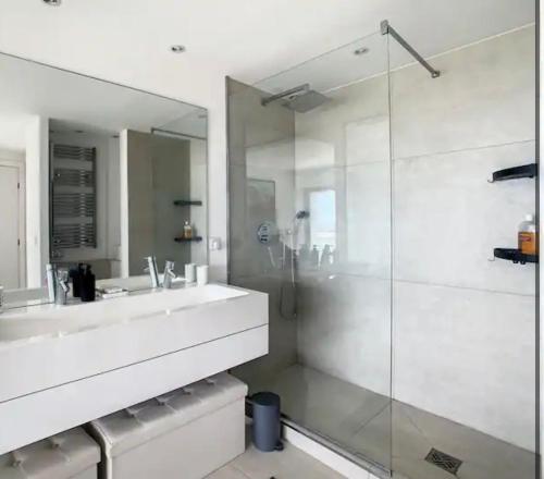 une salle de bain avec un lavabo et une douche en verre dans l'établissement Appartement Vue mer, à Vallauris
