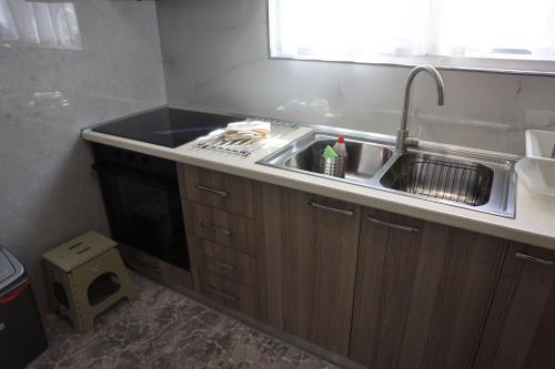 a kitchen with a sink and a dishwasher at Lana's House in Berat