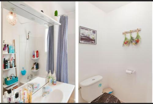 Saint-Médard-de-GuizièresにあるChambre zenの洗面台とトイレ付きのバスルームの写真2枚