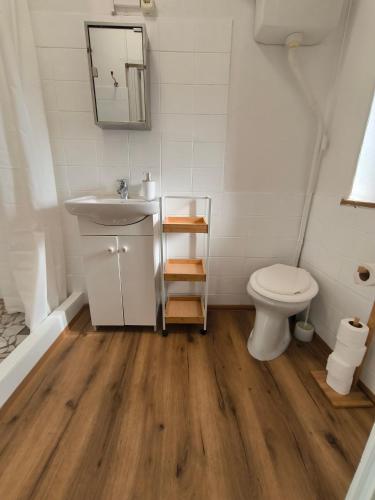 a bathroom with a sink and a toilet at Dorci Vendégház - A piece of peace in Cserépfalu
