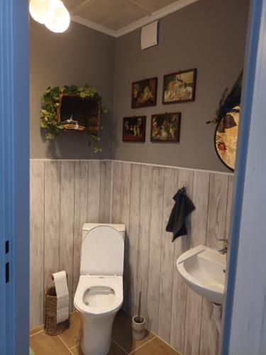 a bathroom with a toilet and a sink at Villa Evetes in Jablonov nad Turnou