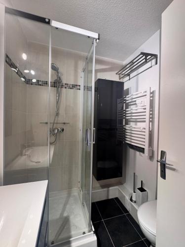 une salle de bain avec douche et toilettes dans l'établissement Tout schuss au Panoramic, à Orcières