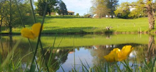 La Maison de Mendigou