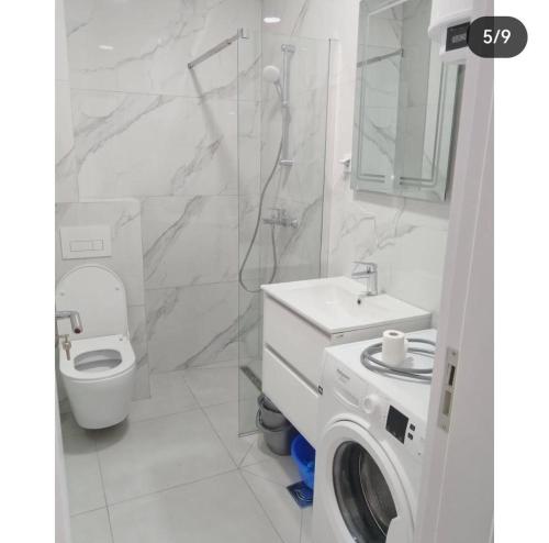 un bagno con un lavandino del water e una lavatrice di Maja 12 a Podgorica