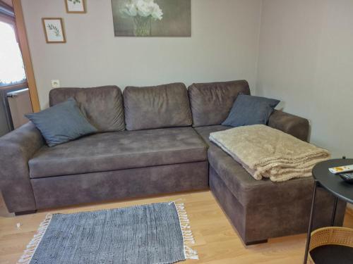 a brown couch with blue pillows in a living room at Großes Mobilheim 1001 in Nideggen