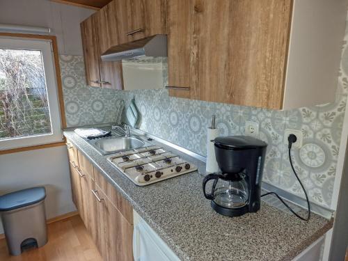 a kitchen with a counter top with a blender on it at Großes Mobilheim 1001 in Nideggen