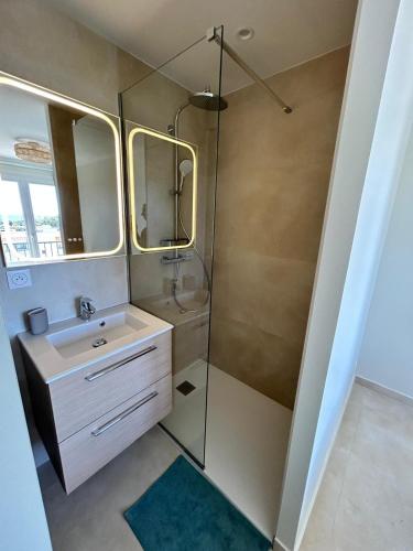 une salle de bain avec une douche, un lavabo et un miroir dans l'établissement Le Cocon des Floréal, à Bandol