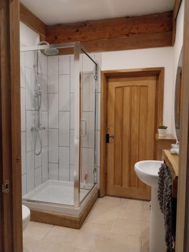 a bathroom with a shower and a toilet and a sink at Fir Lodge in Kings Lynn