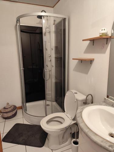 une salle de bain avec une douche, des toilettes et un lavabo dans l'établissement Studio indépendant, à Anglade