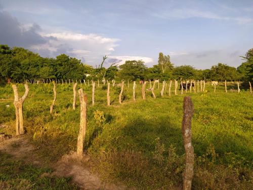 Fotografie z fotogalerie ubytování Casa Campestre Rancho 75 Eco Park v destinaci Arjona