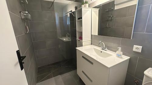 une salle de bain avec un lavabo et une douche avec un miroir dans l'établissement Mini Villa à 3 minutes de la plage de Pinarello, à Pinarellu