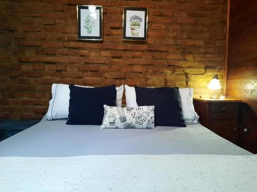 ein Schlafzimmer mit einem Bett mit Kissen und einer Ziegelwand in der Unterkunft Ramallo Lote 58 Estancia Estrella Federal in Ramallo