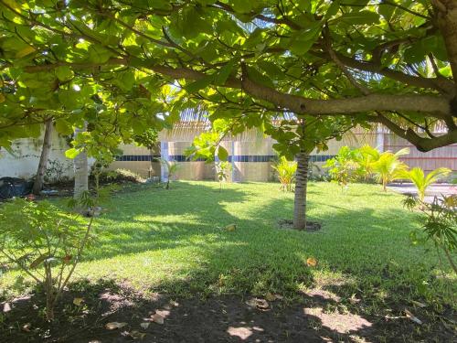 a shady yard with trees and green grass at Casa de Descanso en Monterrico in Monterrico