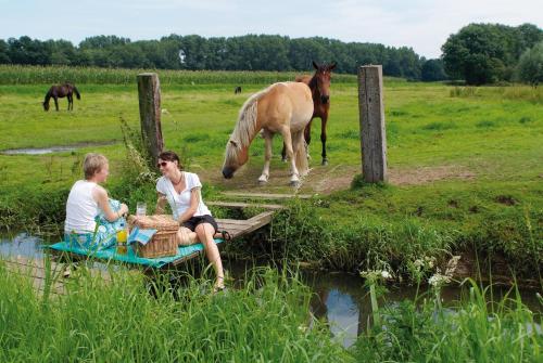 two people sitting on a raft with a horse in a field at Wellings Parkhotel in Kamp-Lintfort