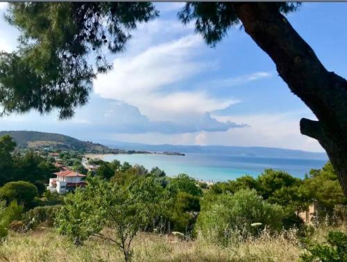 アパートメントの近くで見られる自然の景観