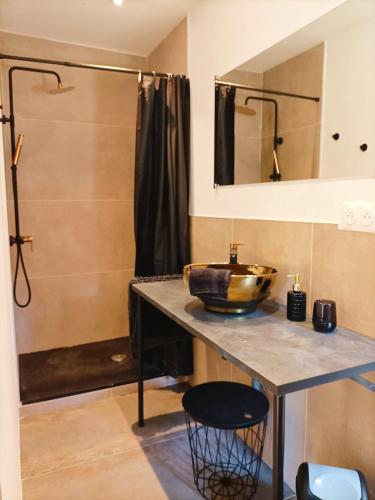 une salle de bain avec un lavabo et une douche dans l'établissement Mas Le Clos de Teillan 6 chambres 3 SDB, Piscine, Sauna, Bain à remous, à Aimargues