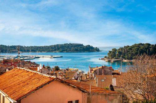 Bellevue - two bedroom apartment with terrace and private garage