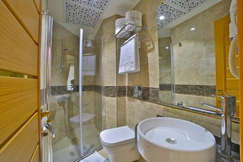 イスタンブールにあるHotel Resitpasa Istanbulのバスルーム(トイレ、洗面台、シャワー付)