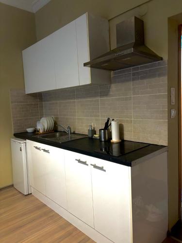Η κουζίνα ή μικρή κουζίνα στο Casa Centro Apartment