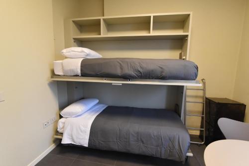 two bunk beds in a room withermottermott at Rooms de' Carracci in Bologna