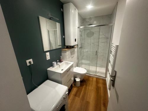 Le tropical - hyper centre - patio - wifi