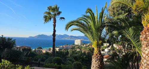 Cannes - Superbe 2 pièces avec piscine - proche plages et centre photo 20