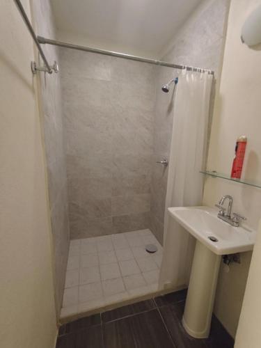 a bathroom with a shower and a sink at Loft Dee Dee centrical location in Puerto Vallarta
