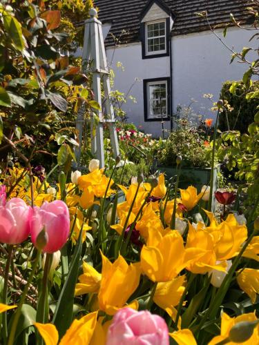 a garden of yellow and pink flowers in front of a house at Eddrachilles Hotel in Scourie