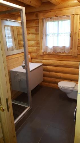 a bathroom with a toilet and a sink and a window at Hôtel Résidence Le Pin Sylvestre Amnéville in Amnéville