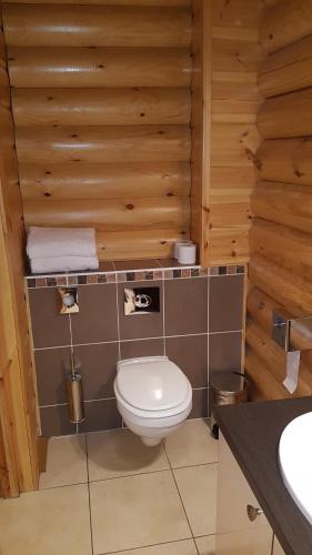 a bathroom with a toilet and a wooden wall at Hôtel Résidence Le Pin Sylvestre Amnéville in Amnéville