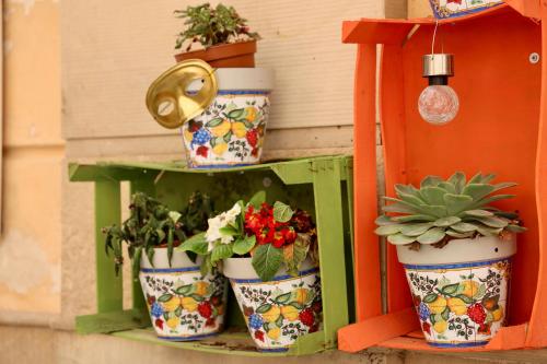 a group of potted plants sitting on a shelf at Doma Centro 4 in Gela
