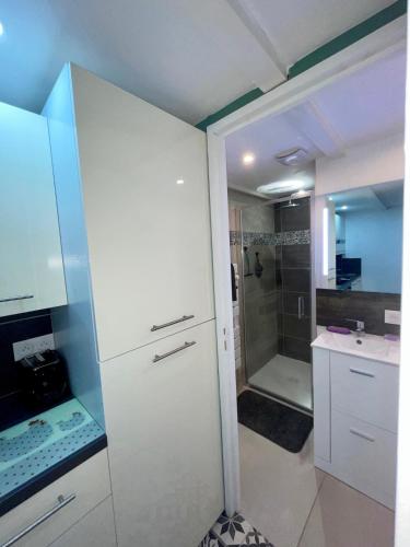 La salle de bains est pourvue d'une douche et d'une armoire blanche. dans l'établissement Bel Appt secteur Marais, à Bessines