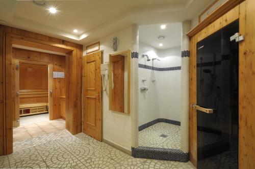 a bathroom with a walk in shower and a walk in shower at Hotel Garni Alpenland in Altenmarkt im Pongau