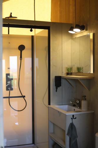 a bathroom with a shower and a sink at Safari Lodges XL in Nieuwe Wetering